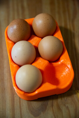 Egg Holder | 3d print model