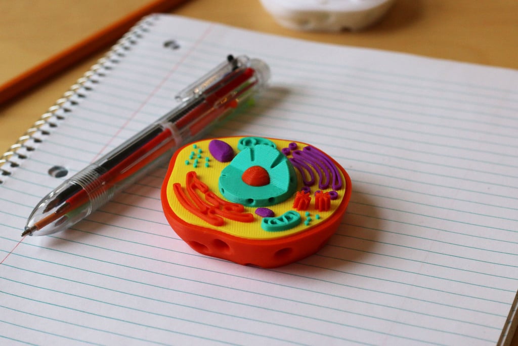 Multi-Color Mini Animal Cell