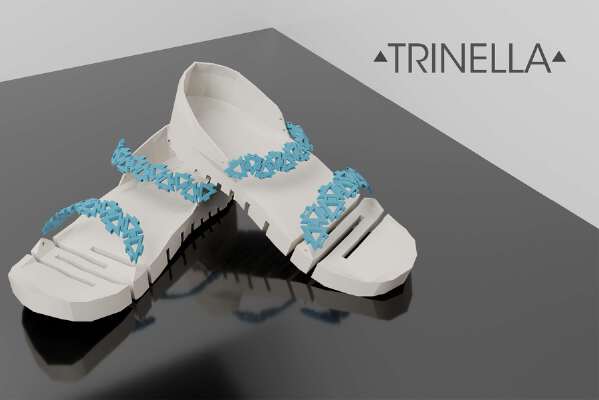 Trinella Shoe | 3d print model