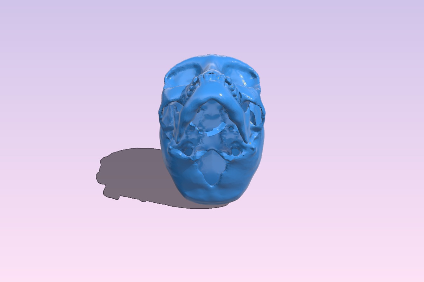 Alien Skull - (Crystal Skull Inspired)