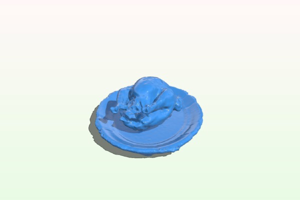 SENSE SCAN: Ozar Family Thanksgiving Turkey 2014 | 3d print model
