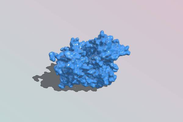 Trex1 protein | 3d print model