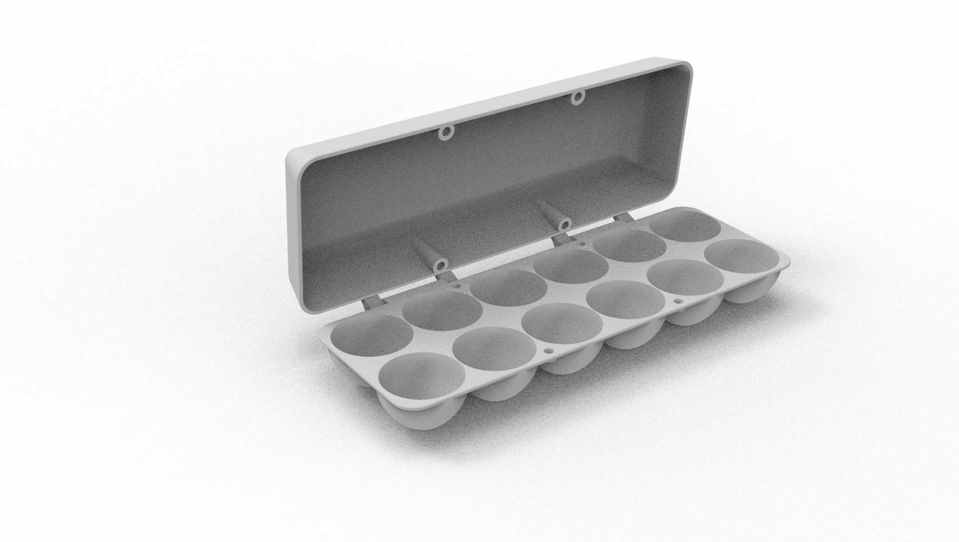 Egg Carton