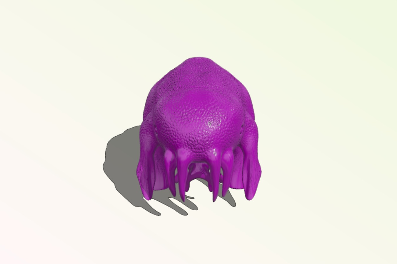 SquidS