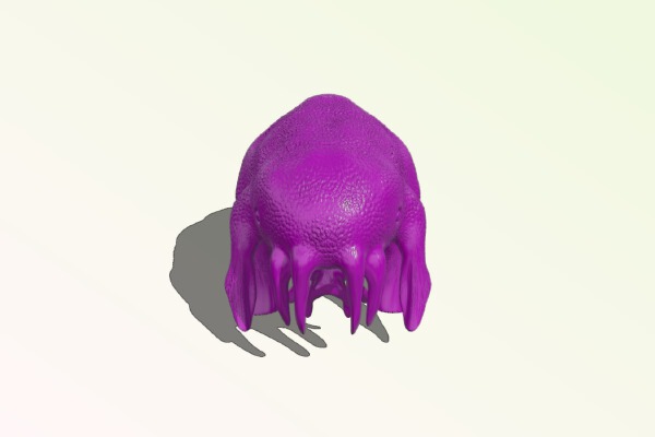 SquidS | 3d print model