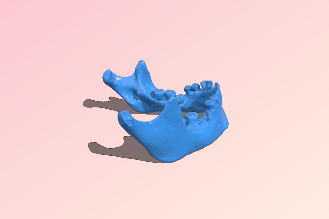 3D Scanned Human Mandible _ Jaw Bone