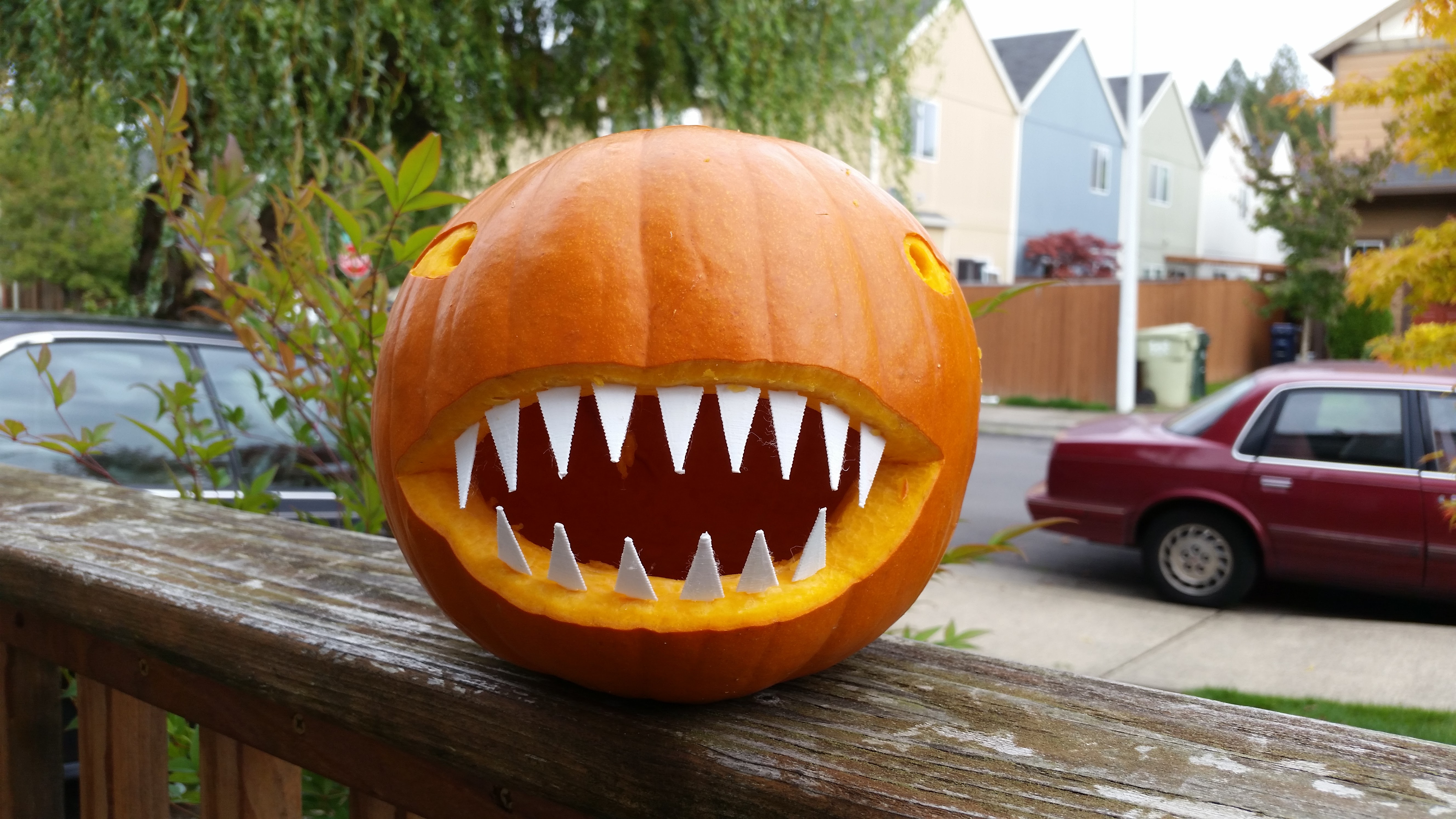 Shark teeth
