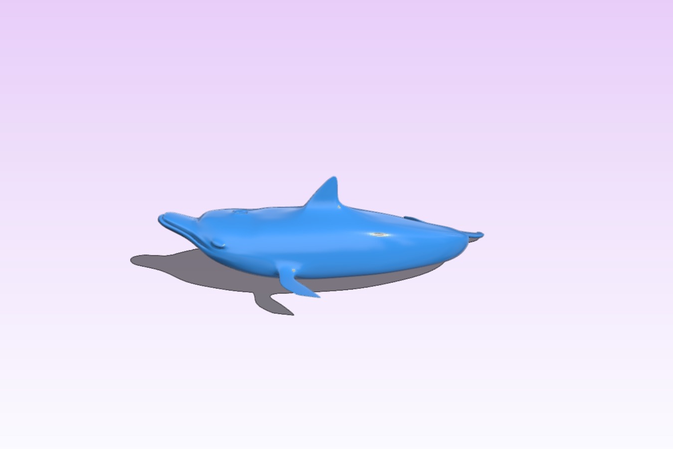 Dolphin