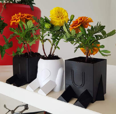 Planty Potter (vase mode) for Mother's Day | 3d print model