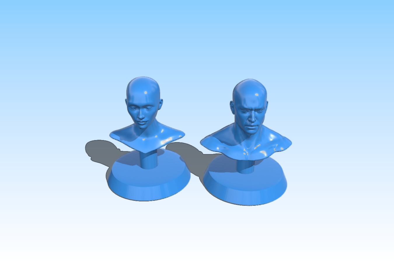 Practice Busts