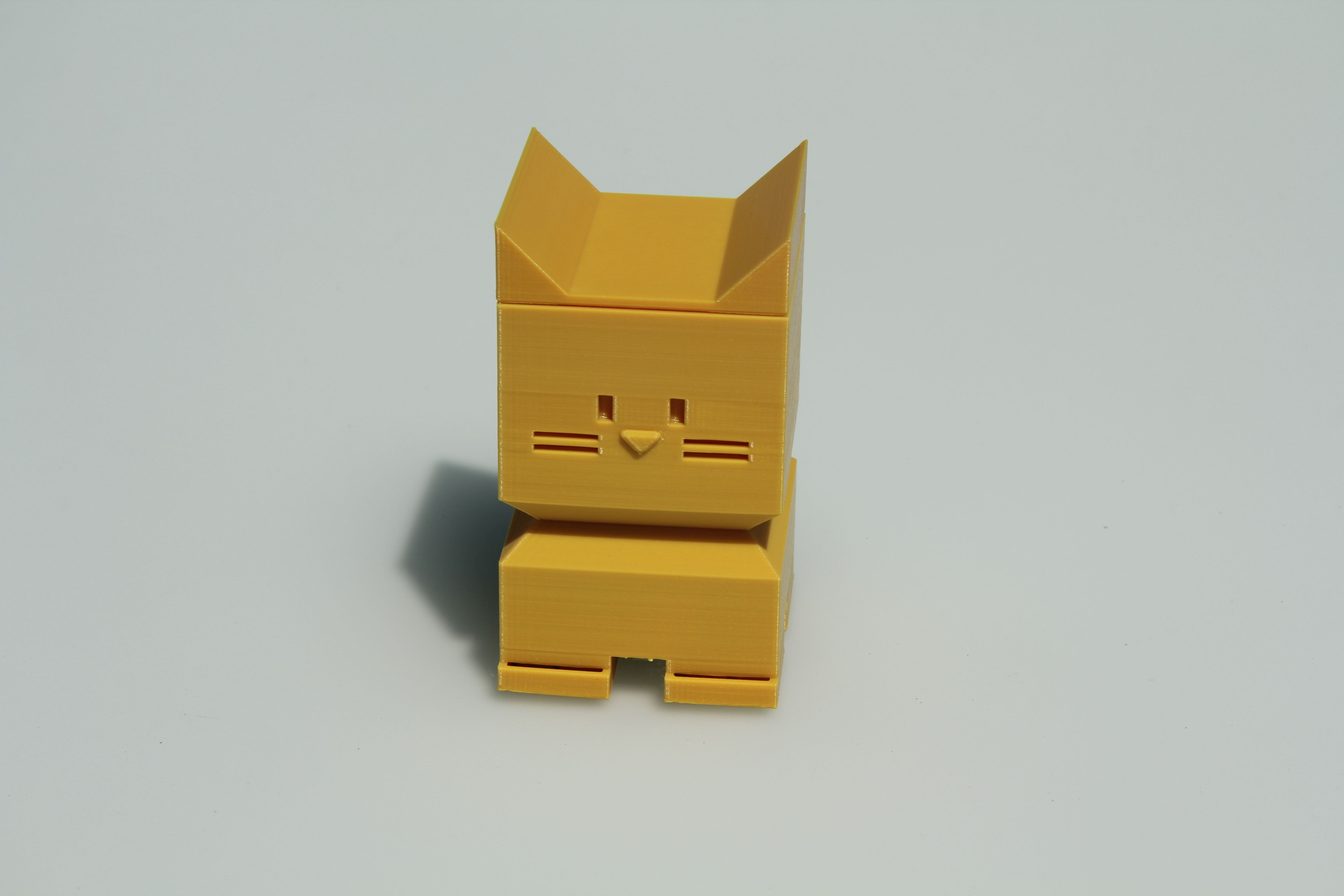 Calicat Box _ Vase