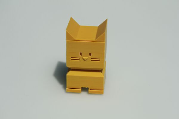 Calicat Box _ Vase | 3d print model