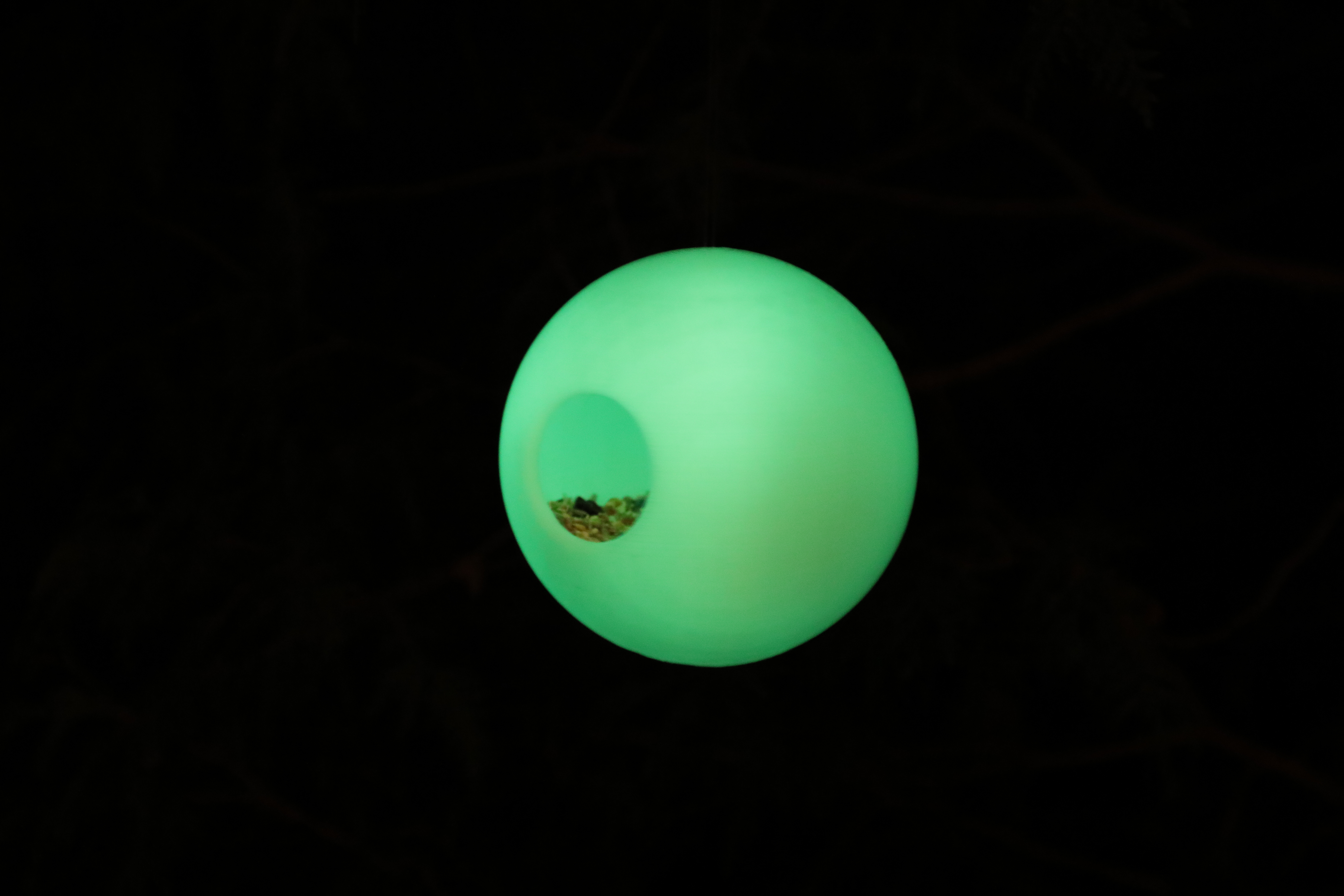 4d0f80b7-7358-4fd6-a0b6-4171750b541d