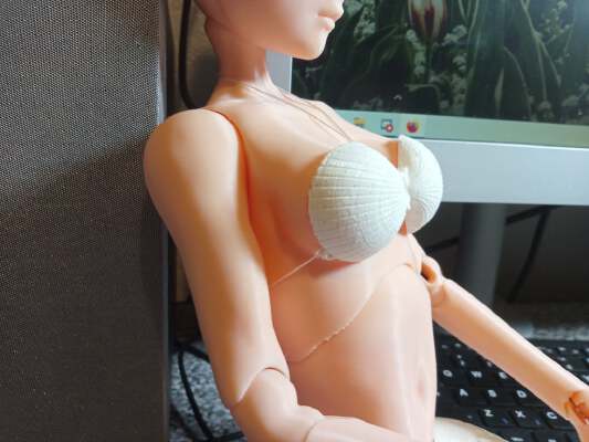 Sea shell top for Polaris BJD | 3d print model