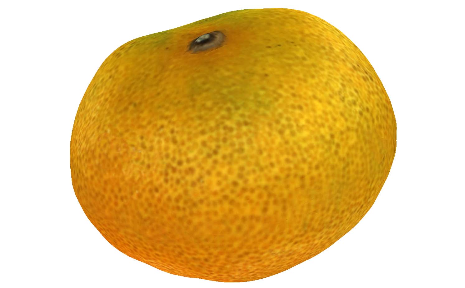 56fe1855-501c-46f0-b001-a93d973fb406