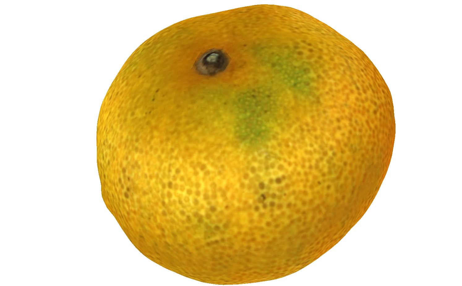 e9ee5f11-d80c-40d4-b255-681c0eb9304f