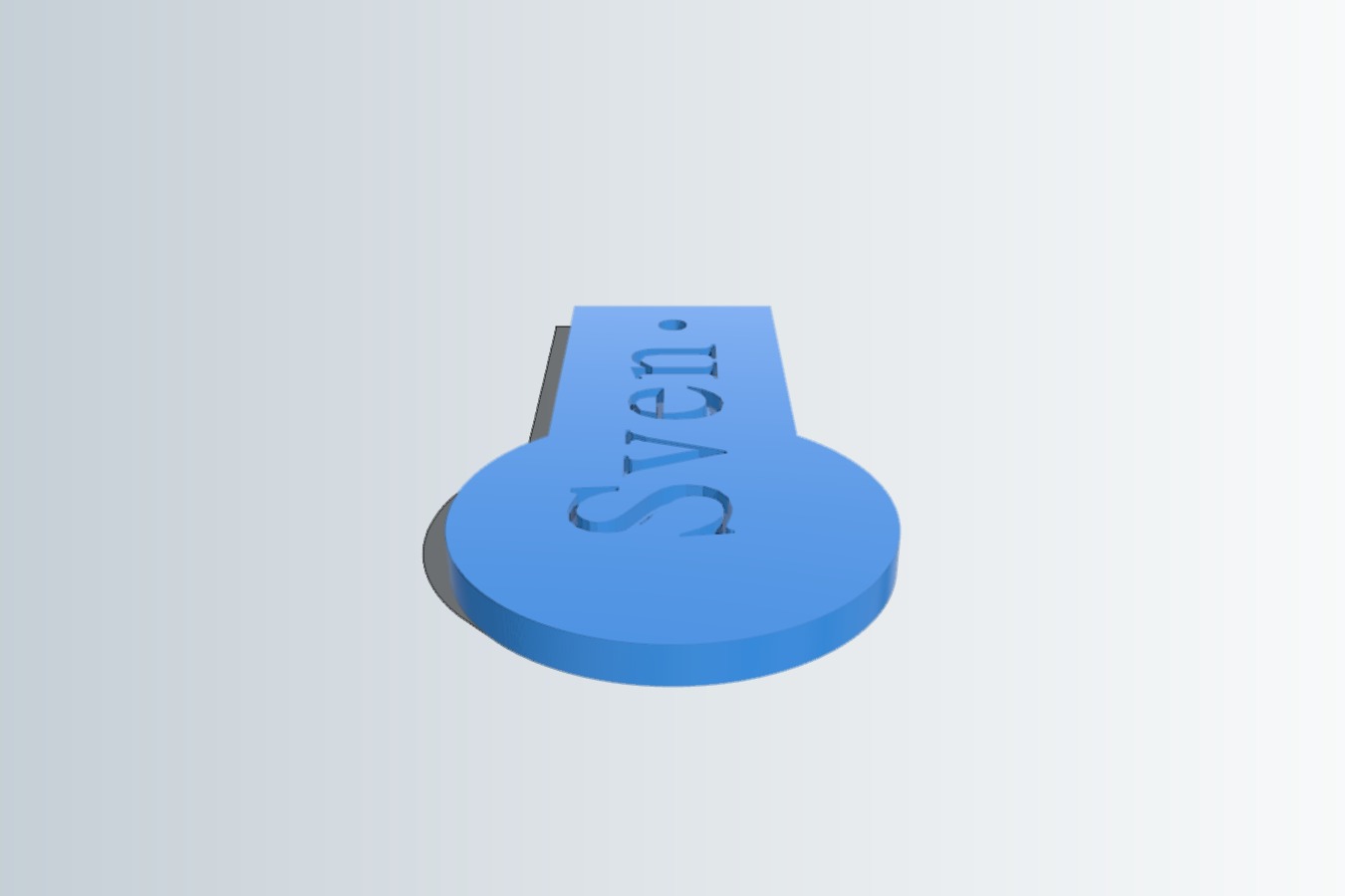 Customizable Coin Fob