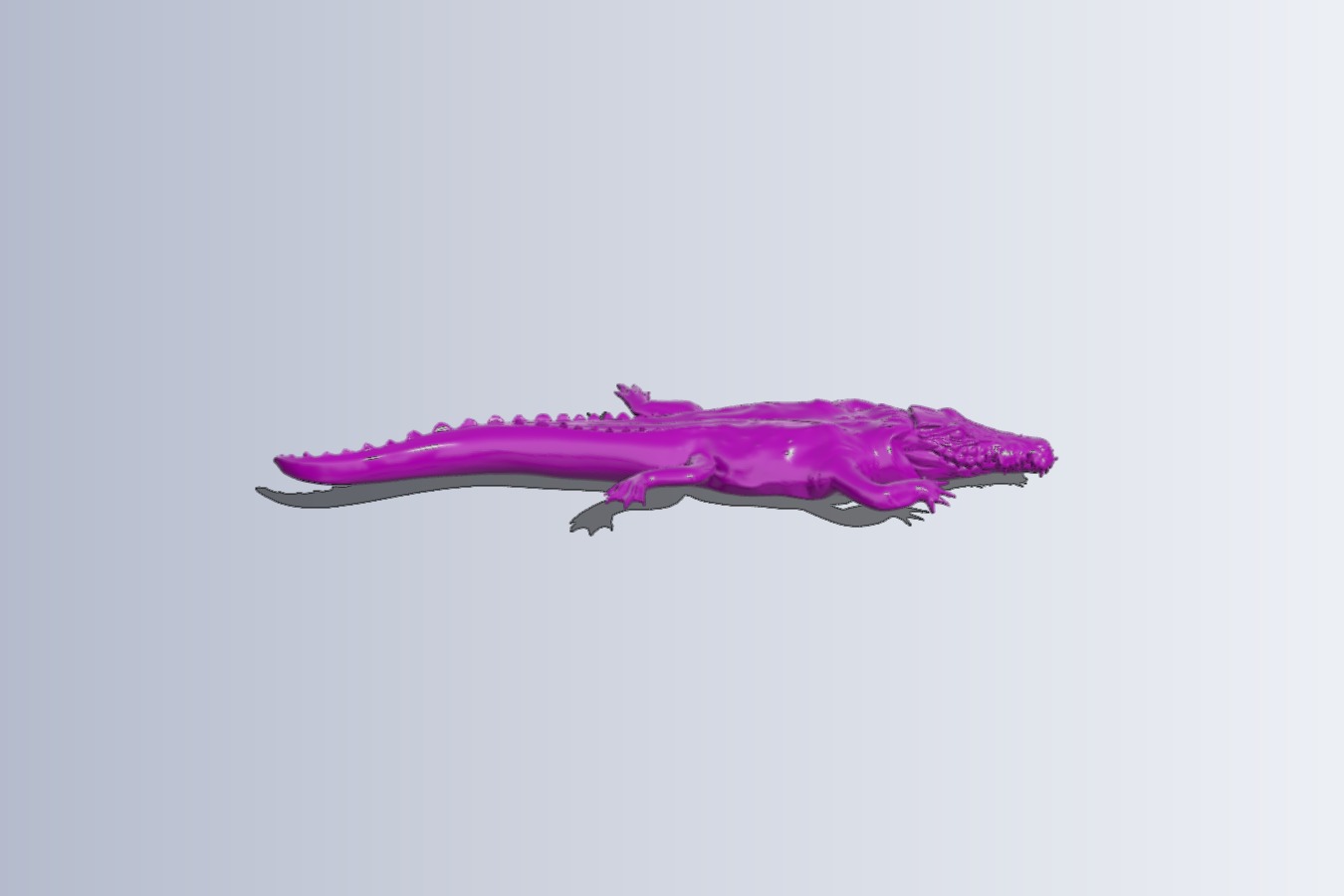 Hidden alligator – crocodile