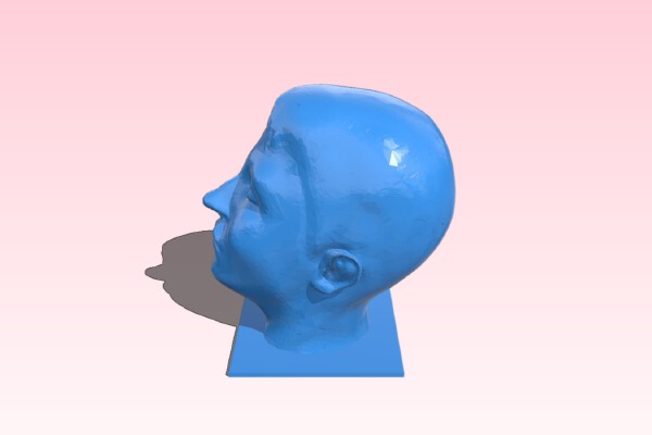 Frank's Head | 3d print model