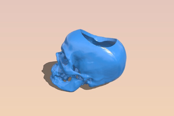 Vampire skull planter | 3d print model