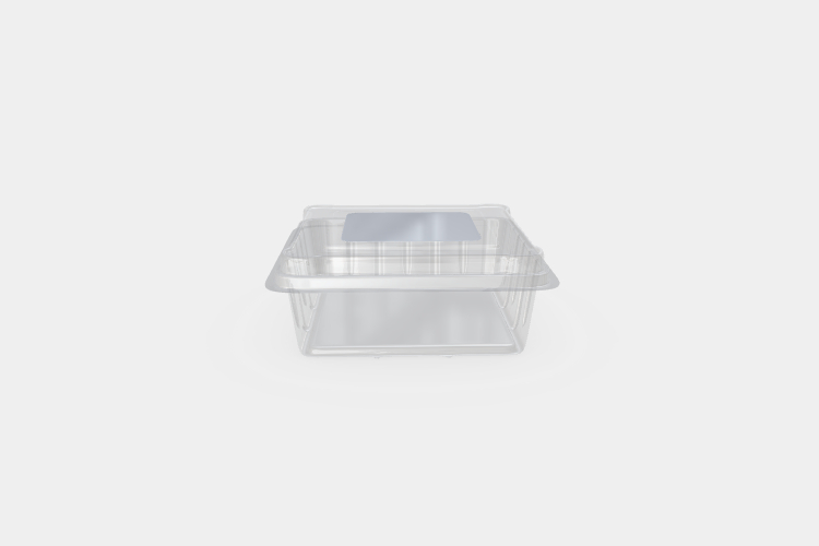 Transparent Salad Plastic Container Mockup