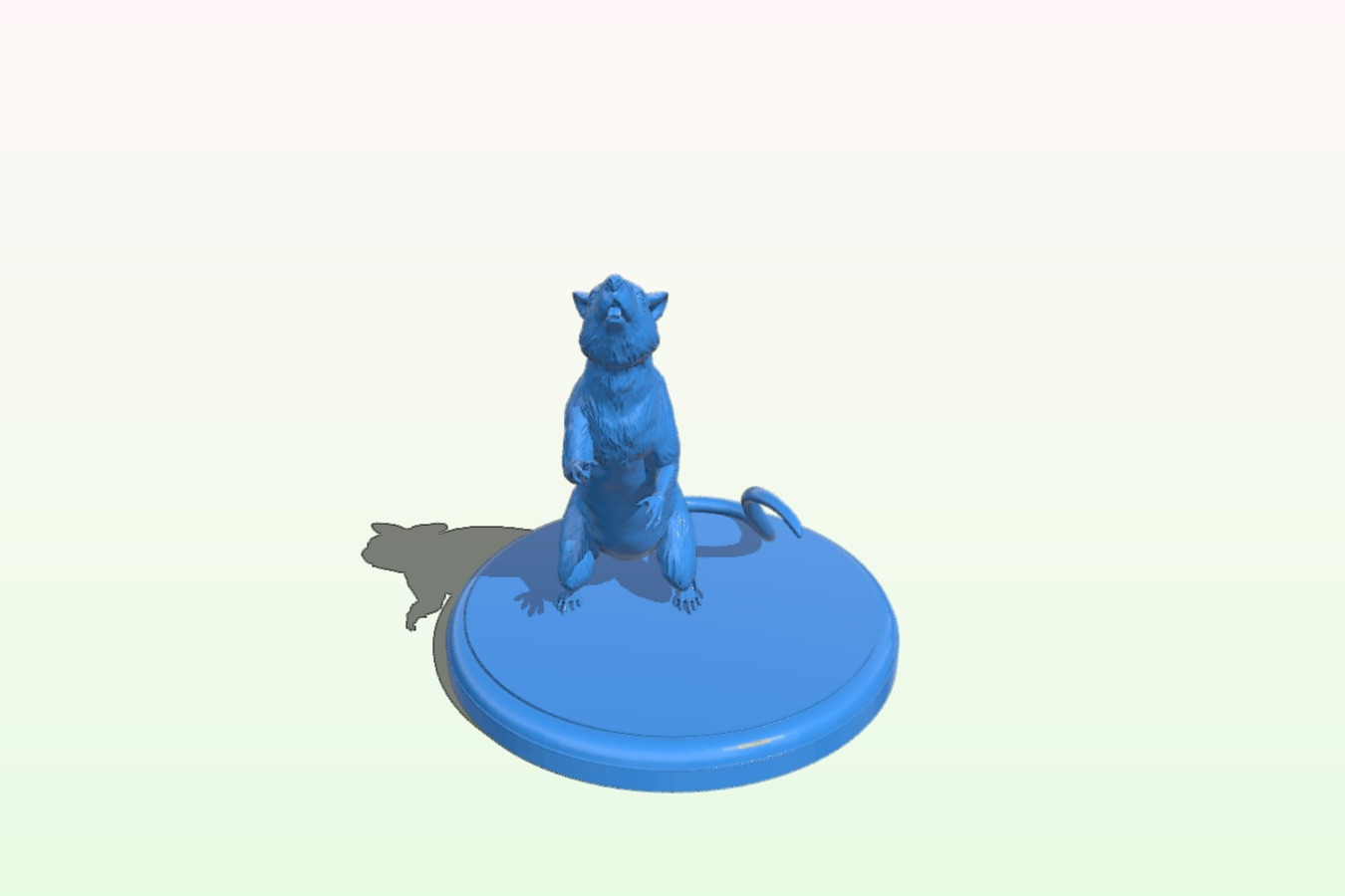 Rat