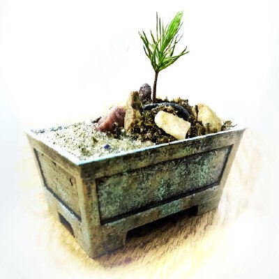 Small Bonsai Pot (50x75x25 mm) | 3d print model