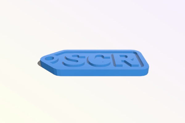 Customizable Bag Tag | 3d print model