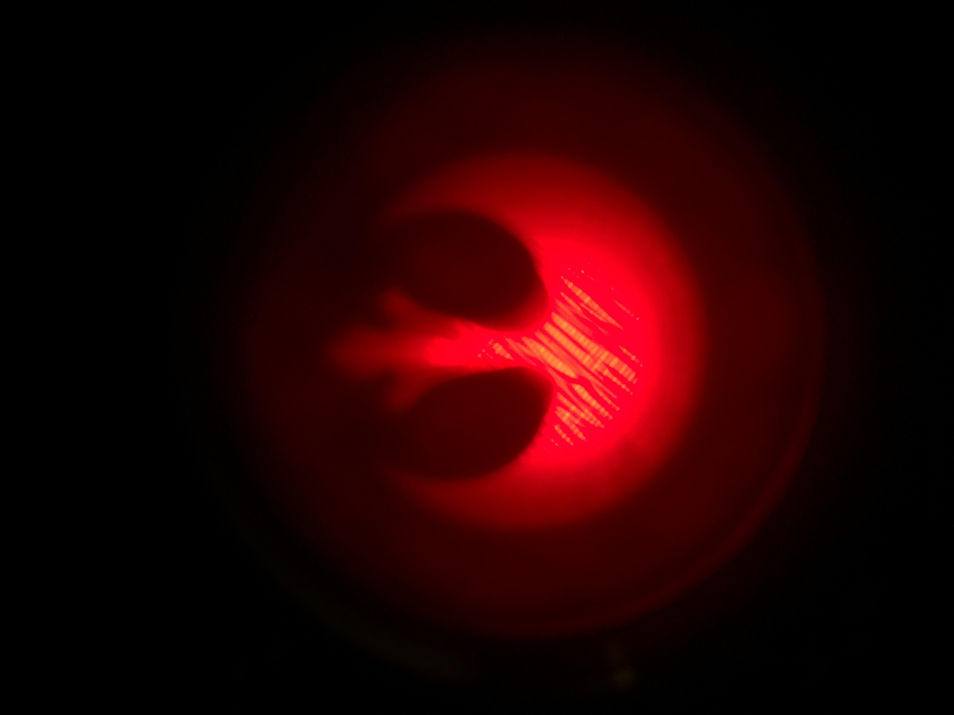 f7c54985-0949-4846-aa75-0f5699c4a05c