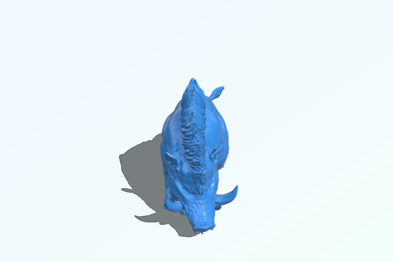 Boar