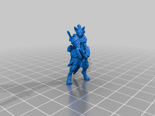 Tabaxi Monk Miniature | 3d print model