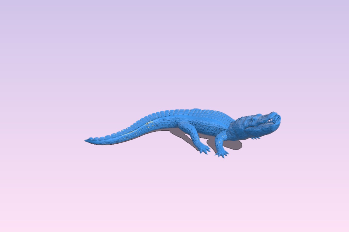 Crocodile