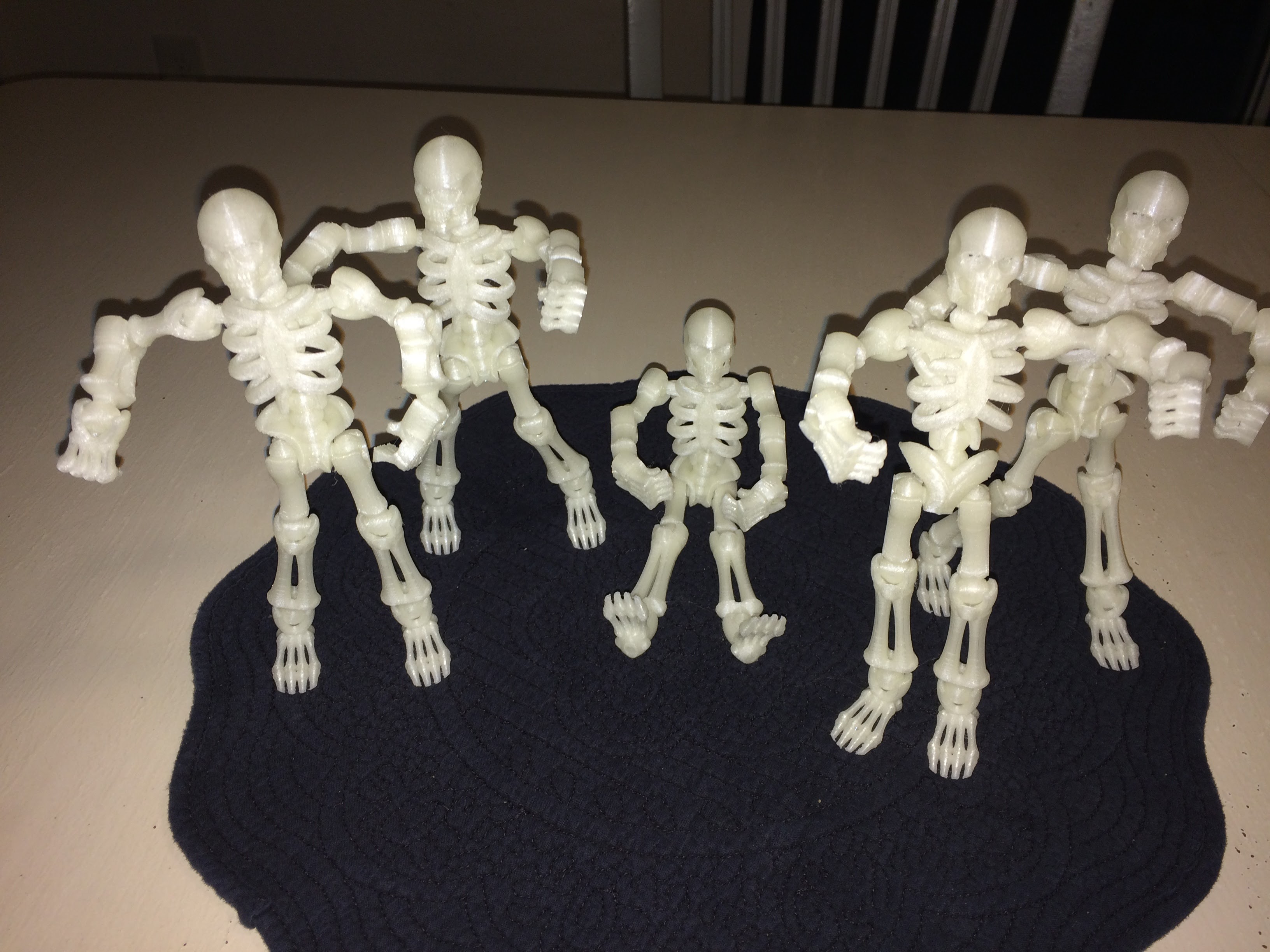 Posable Skeleton
