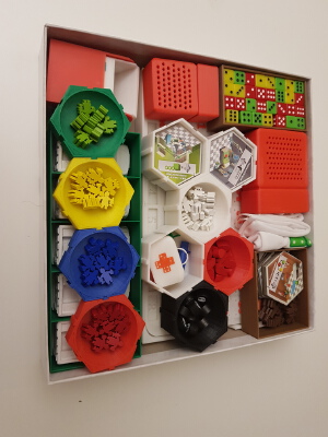 Dice Hospital Inlay | 3d print model
