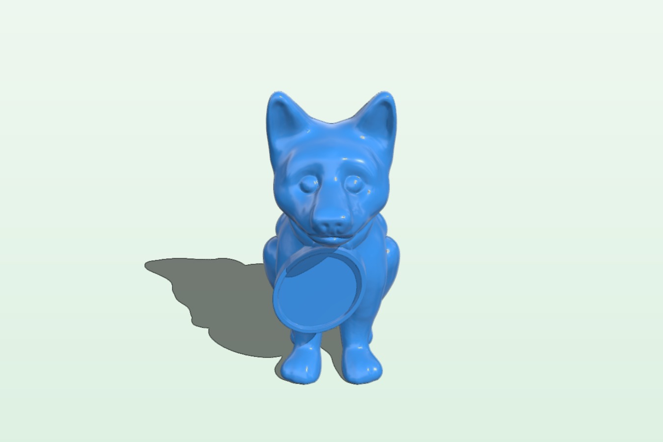 Puppy dog with collar