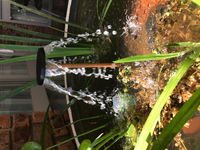 Downward Fountain Head