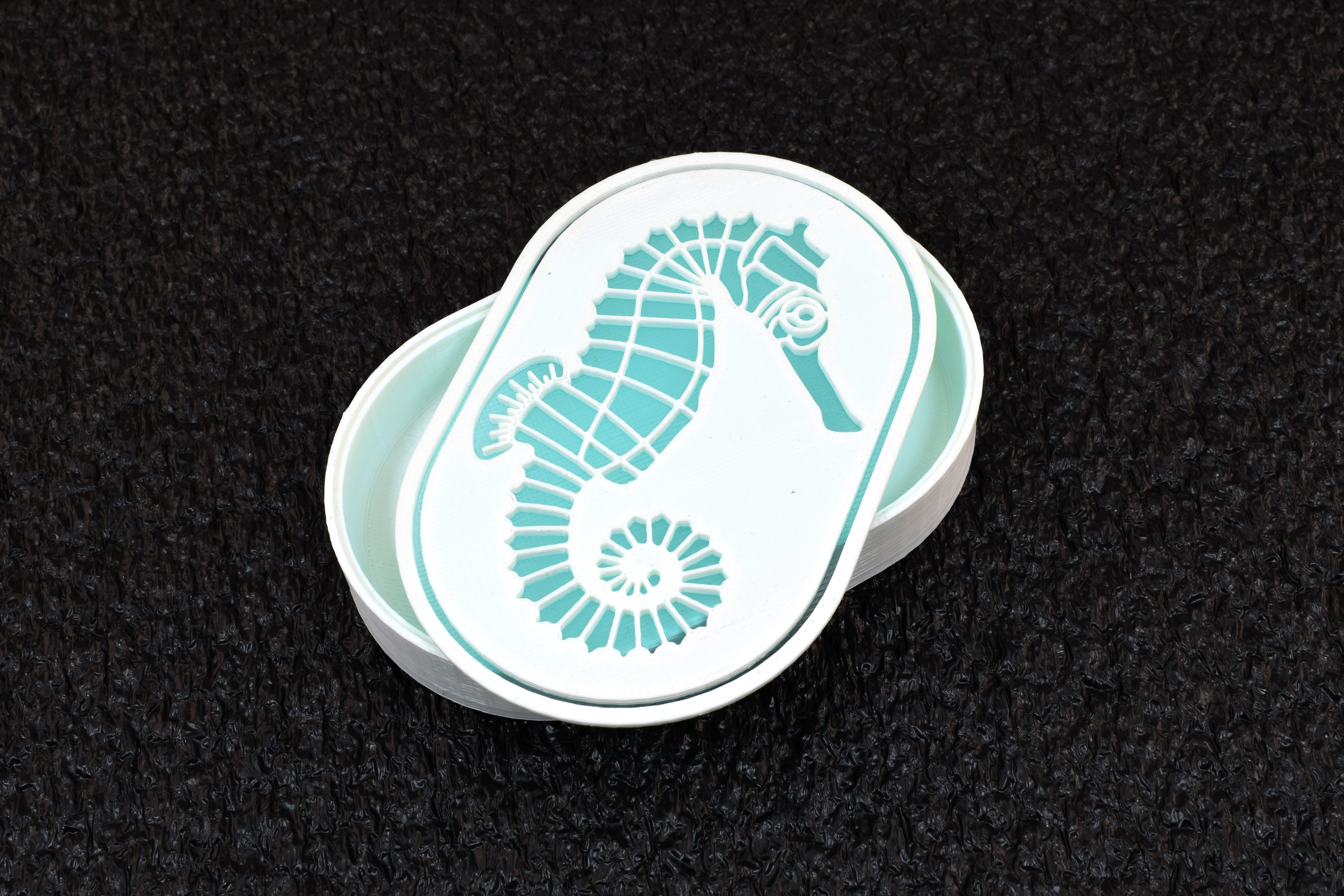 Seahorse Box