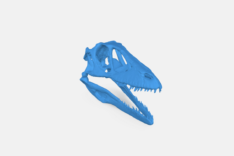 raptor skull | 3d print model