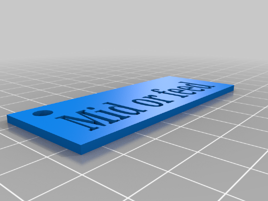 Mid or feed Keychain | 3d print model