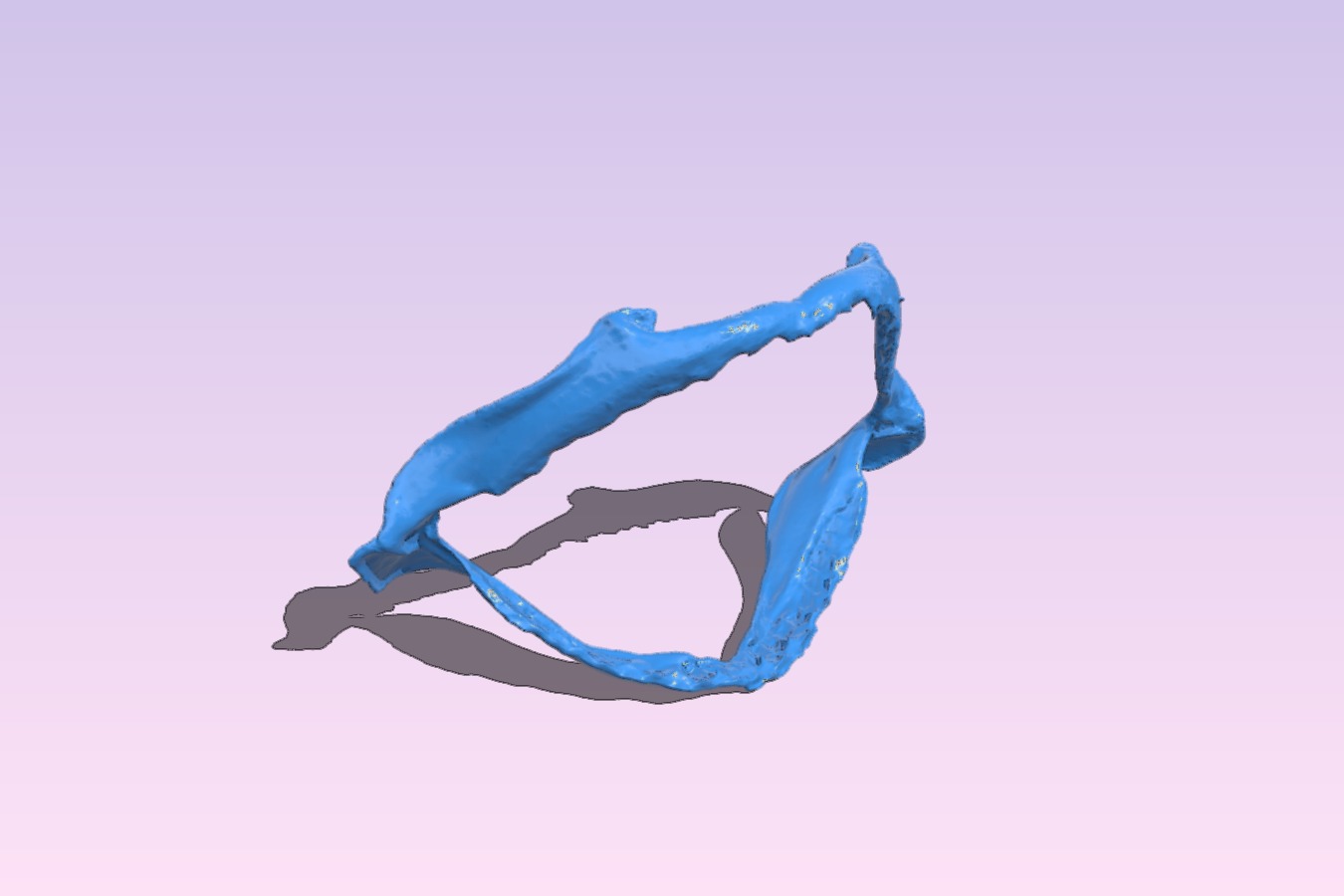 Shark Jaws