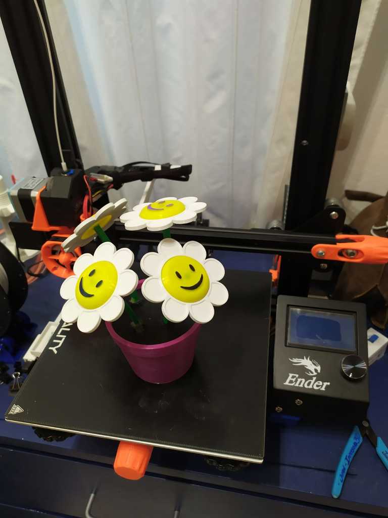 SMILE PLANT