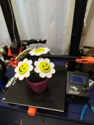SMILE PLANT | 3d print model