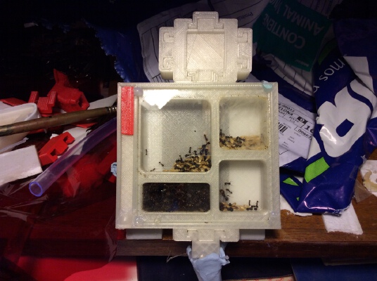 Expandable Ant Fomicarium 2.0 | 3d print model