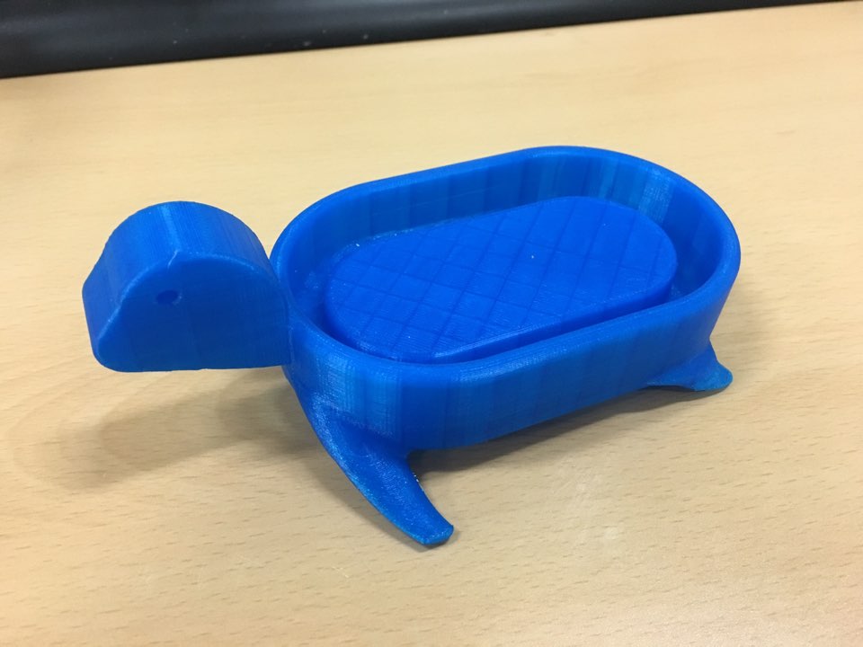 turtle soap case