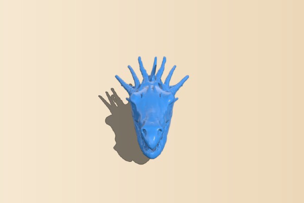 Ukrainian Ironbelly (Gringots Dragon) | 3d print model