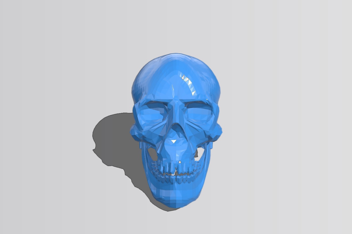 skull
