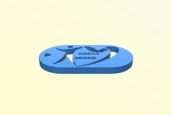 Organ donor key ring | 3d print model