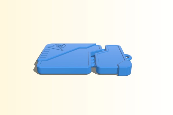Pokemon Go Raid Pass | 3d print model