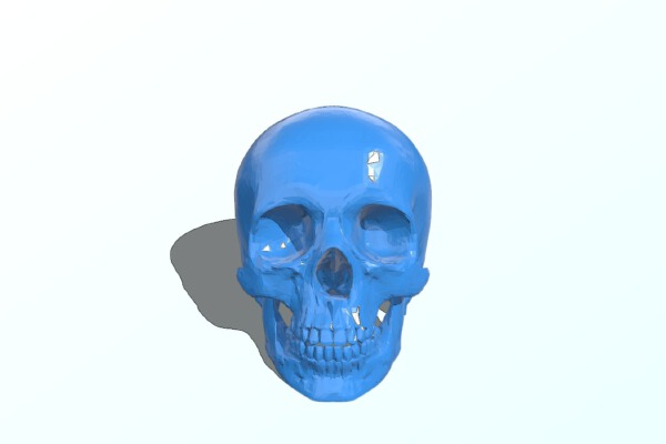 Blank Skull for Halloween | 3d print model