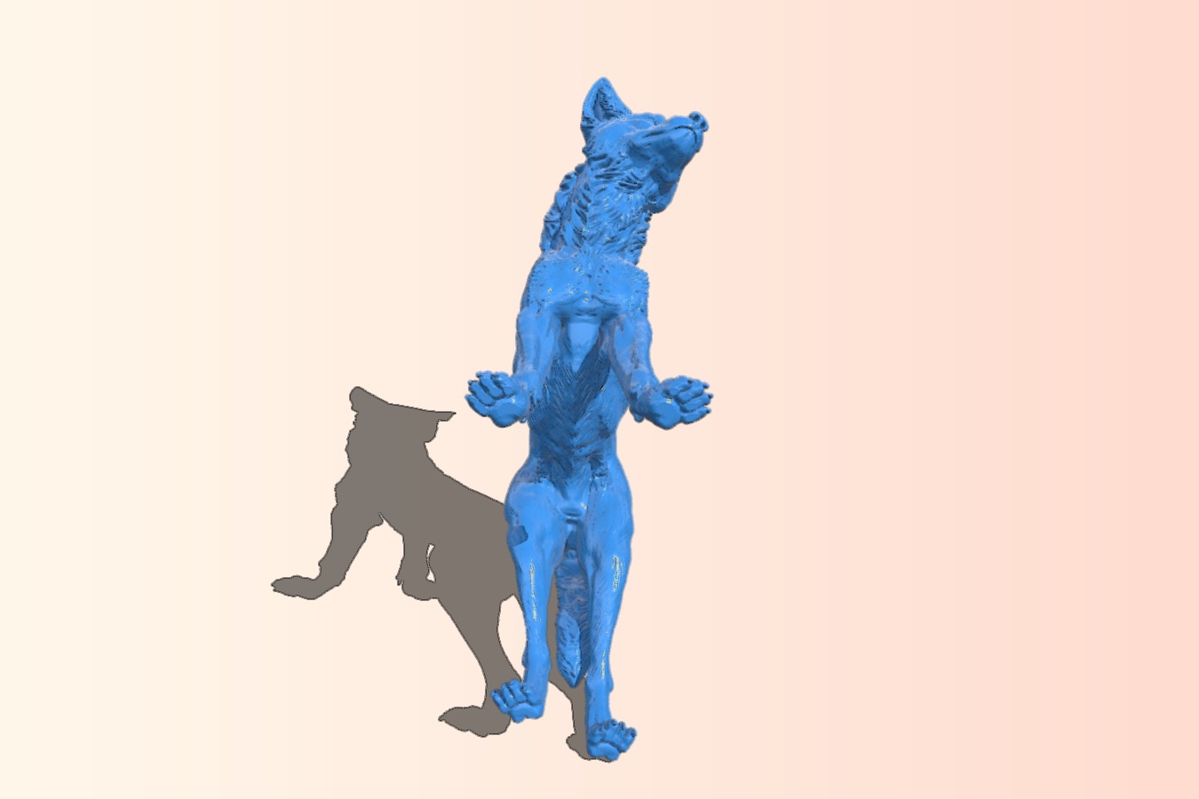 Dingo dog